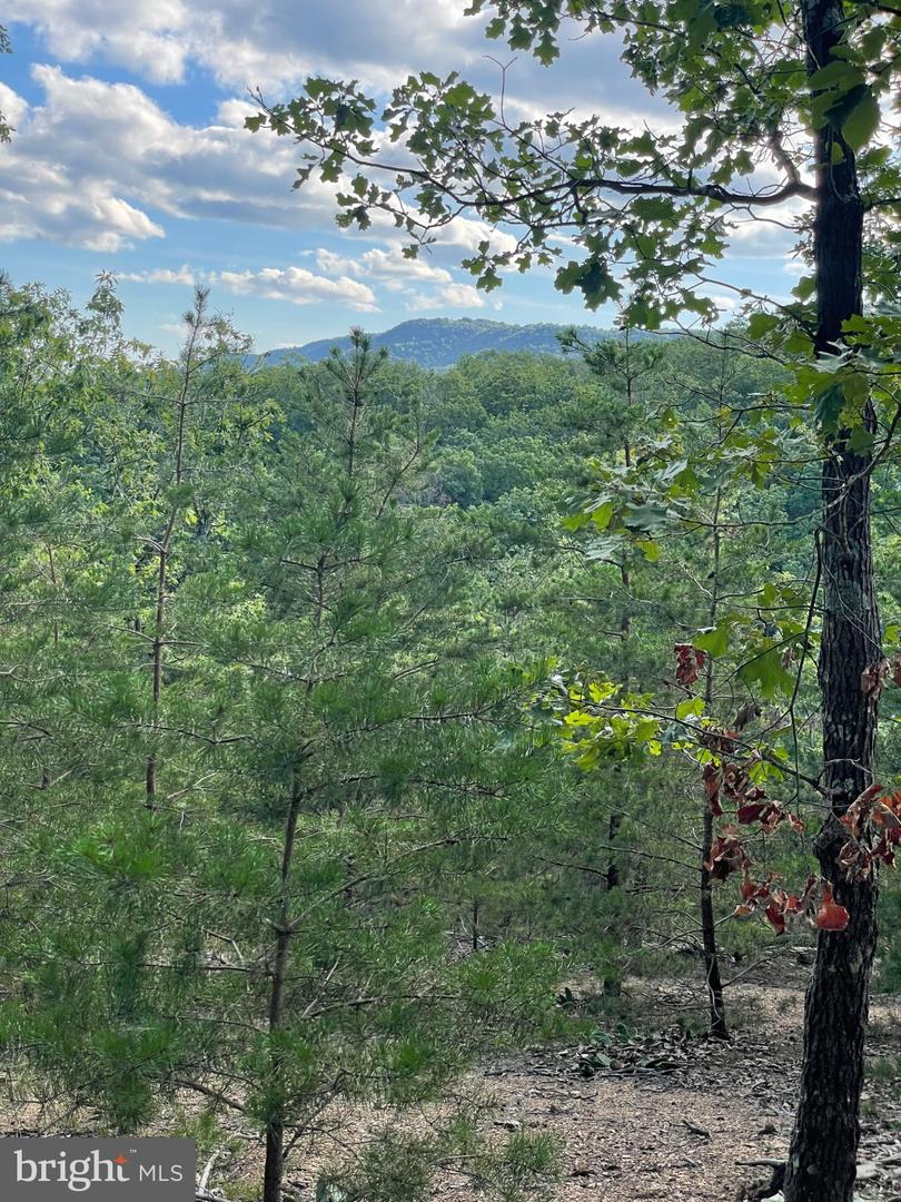 Route 9 26330 Property Photo 6