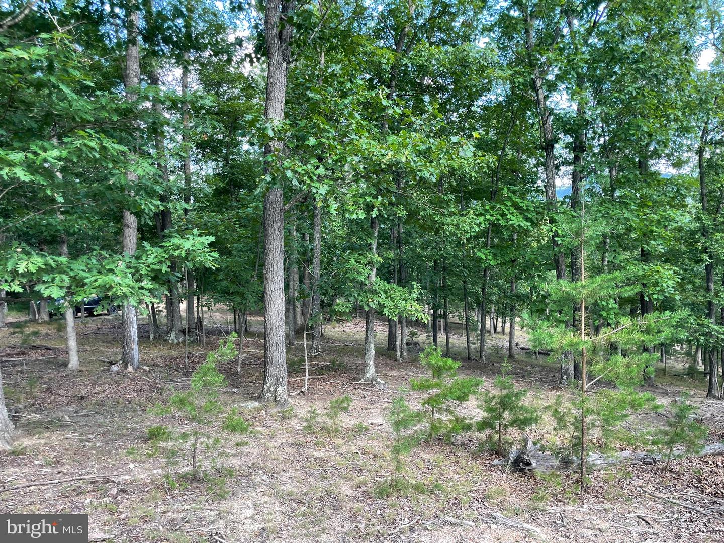 Route 9 26330 Property Photo 7