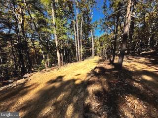 0 Lower Arkansas Road Property Photo 2
