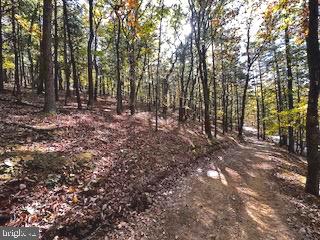 0 Lower Arkansas Road Property Photo 3