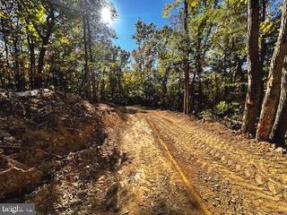 0 Lower Arkansas Road Property Photo 4
