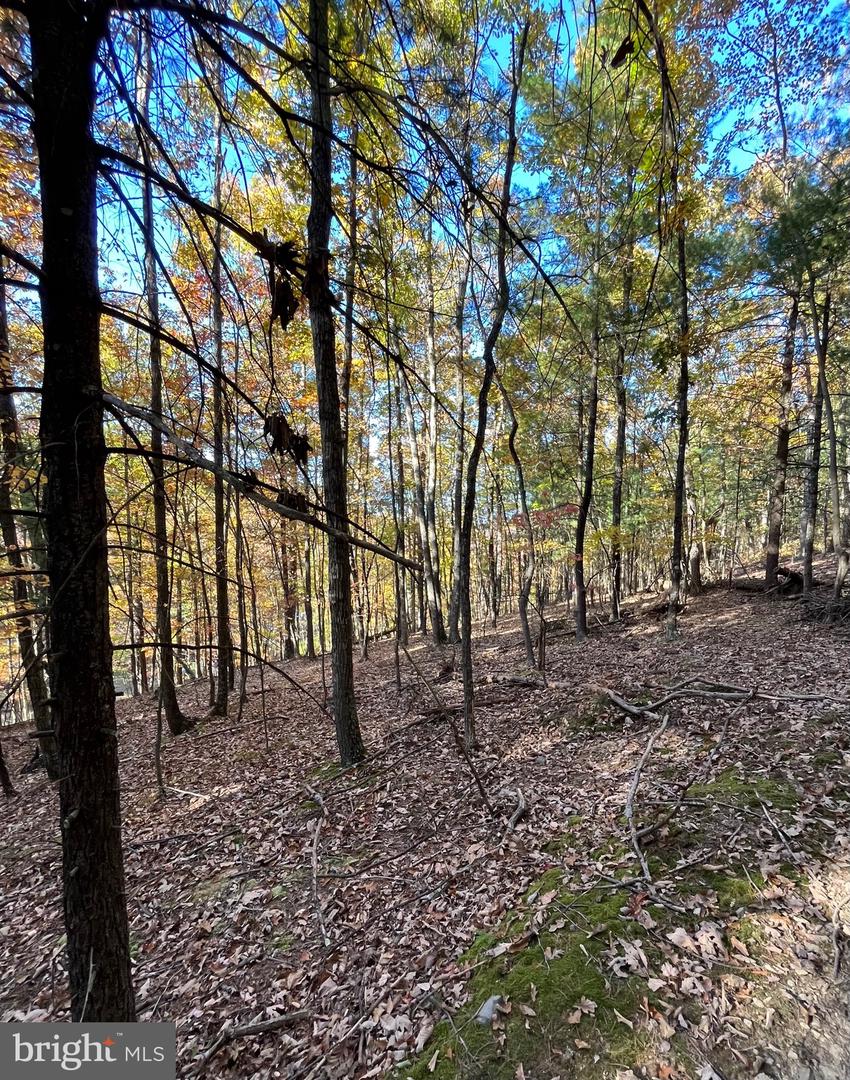 0 Lower Arkansas Road Property Photo 6