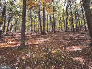 0 Lower Arkansas Road Property Photo 7