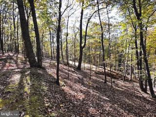 0 Lower Arkansas Road Property Photo 8