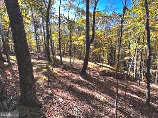 0 Lower Arkansas Road Property Photo 9