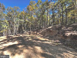 0 Lower Arkansas Road Property Photo 10
