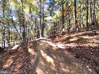 0 Lower Arkansas Road Property Photo 11
