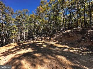 0 Lower Arkansas Road Property Photo 12