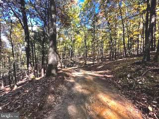0 Lower Arkansas Road Property Photo 13