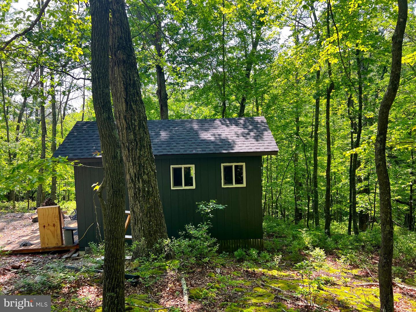 Tr #13 Sec #14 High Knob Rd Property Photo 3