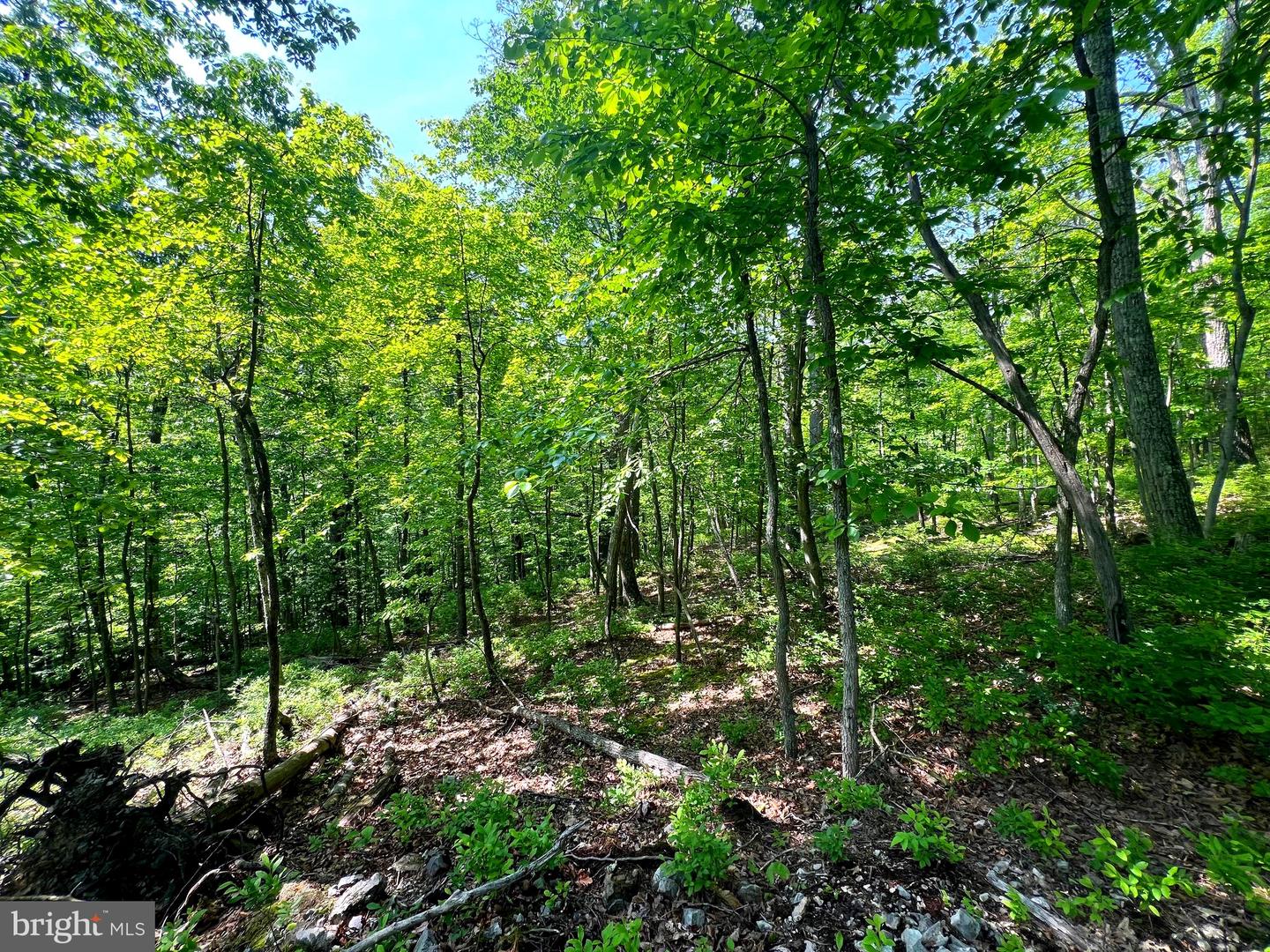 Tr #13 Sec #14 High Knob Rd Property Photo 12