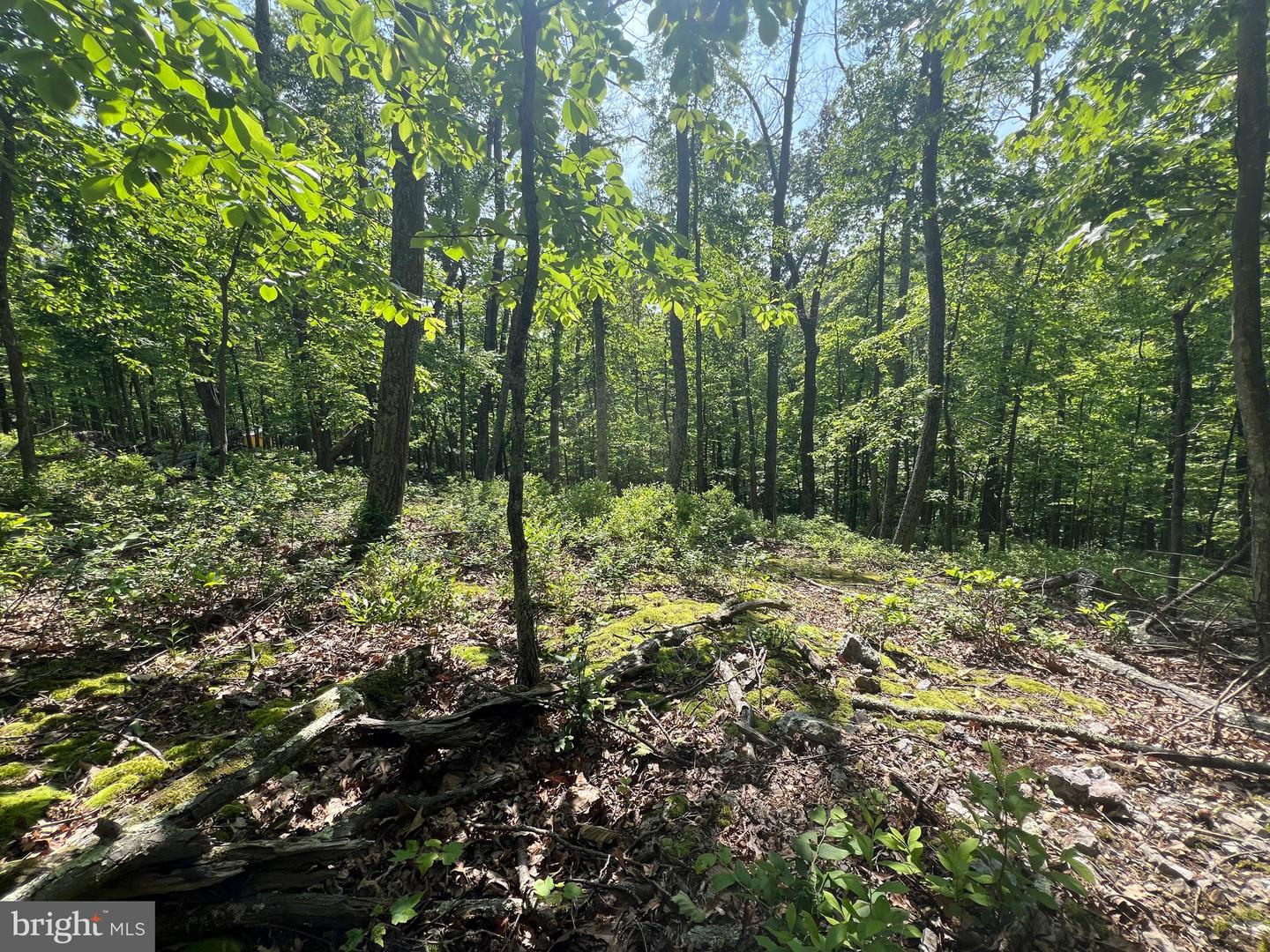Tr #13 Sec #14 High Knob Rd Property Photo 14