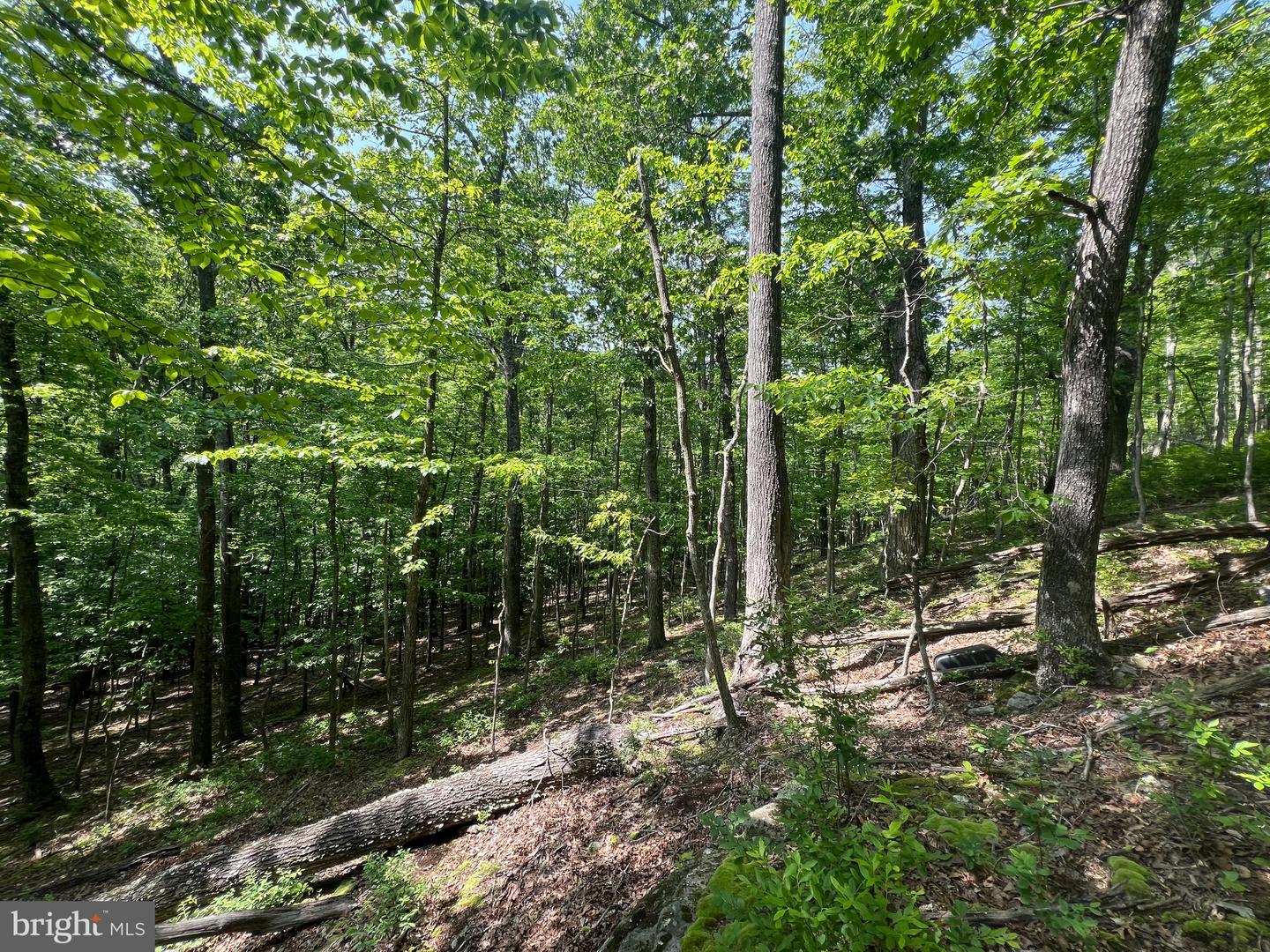 Tr #13 Sec #14 High Knob Rd Property Photo 16