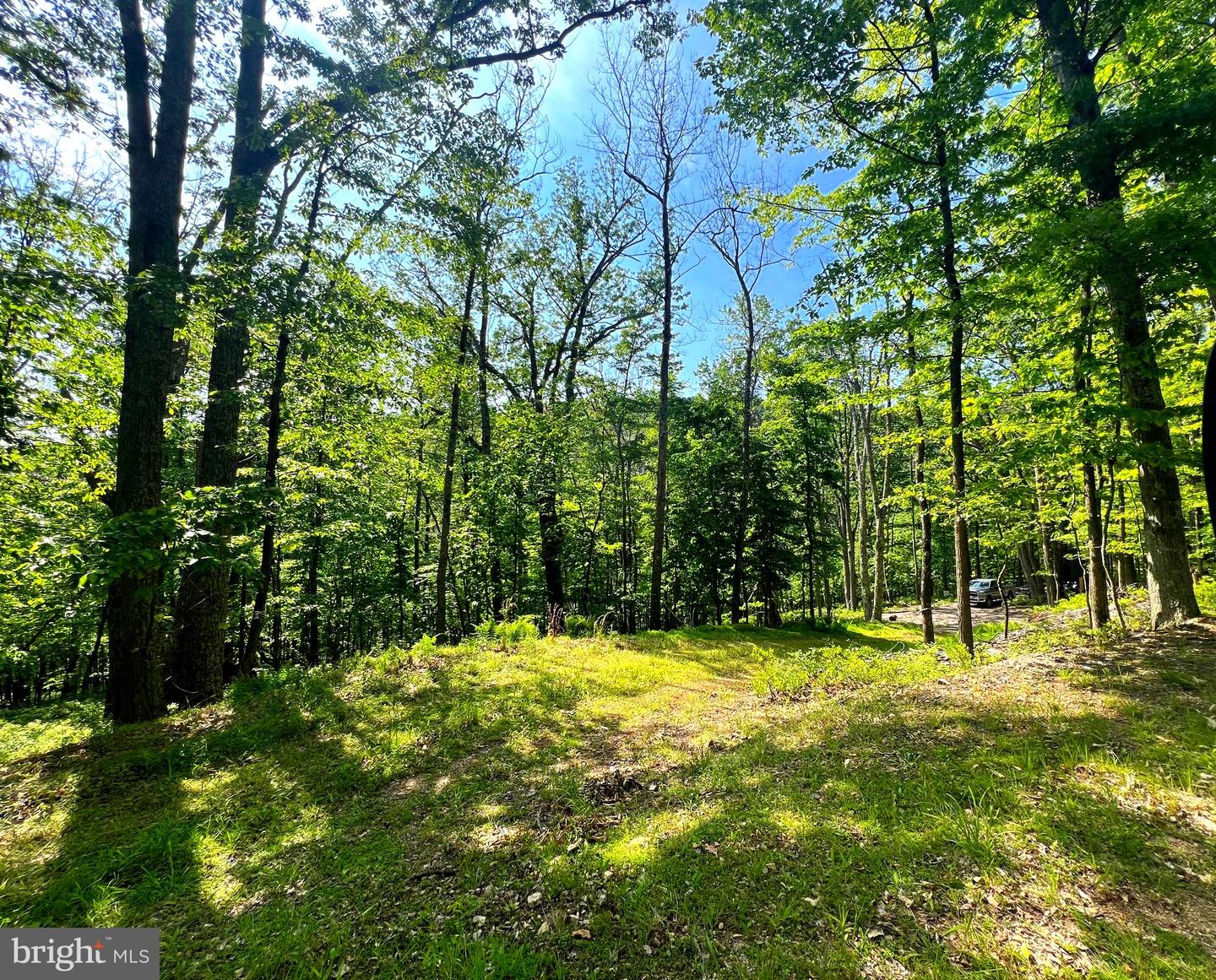 Tr #13 Sec #14 High Knob Rd Property Photo 24