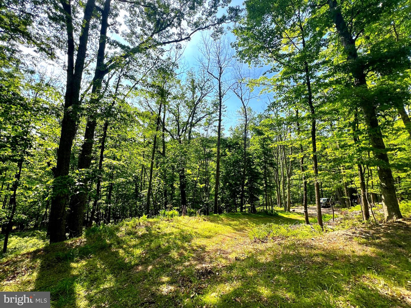 Tr #13 Sec #14 High Knob Rd Property Photo 26