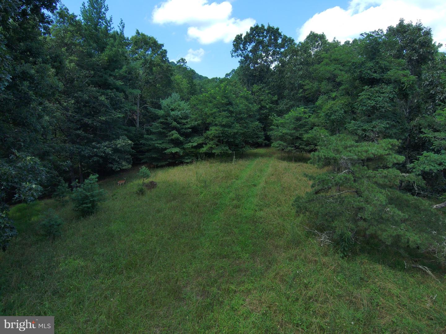 276 Cullers Run Property Photo 6