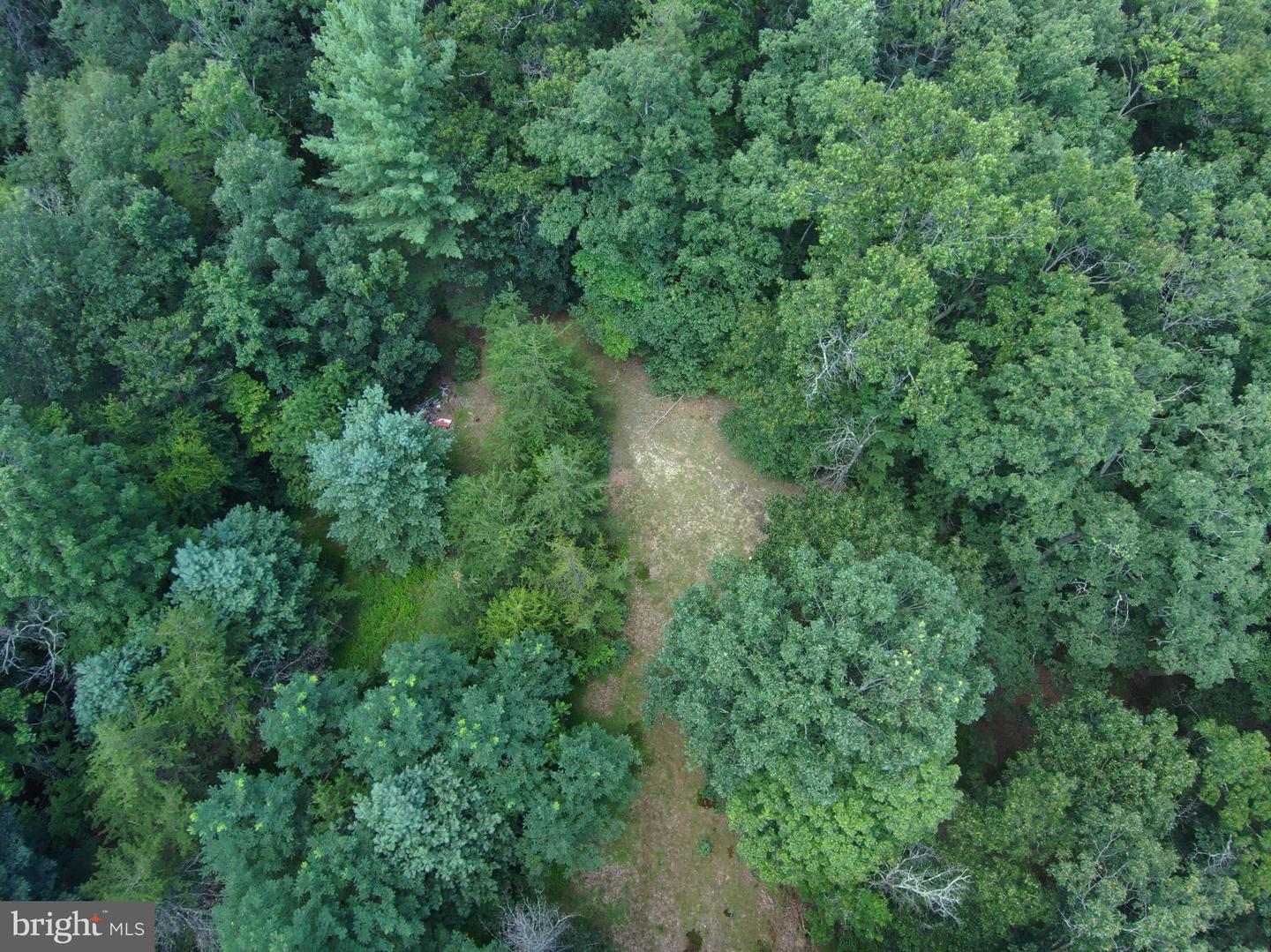 276 Cullers Run Property Photo 7