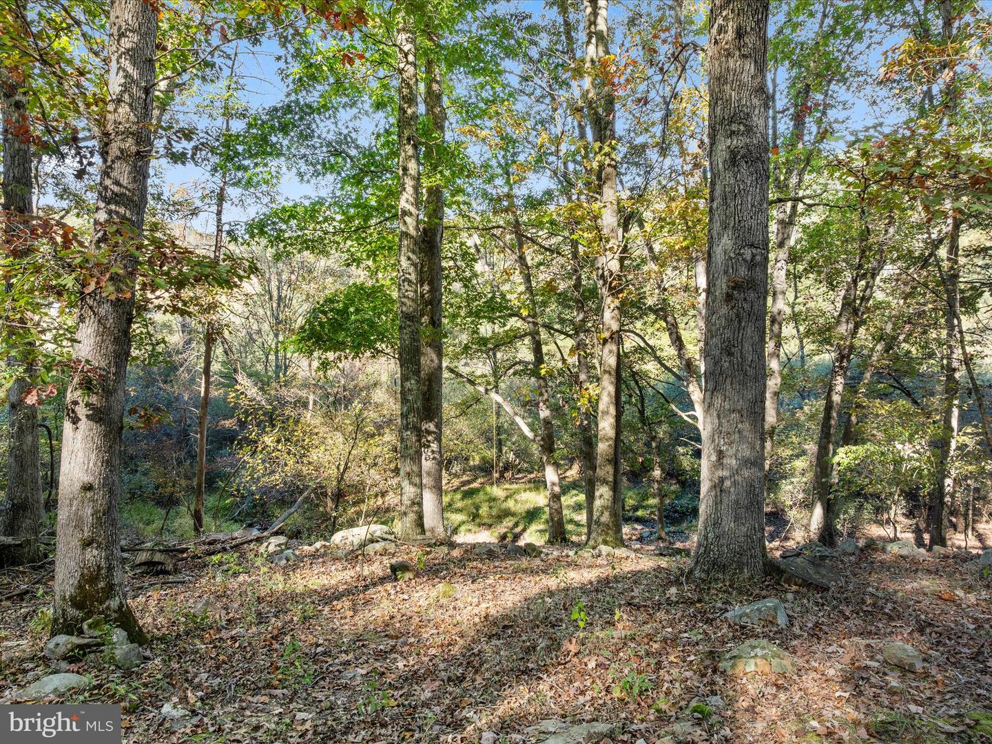 15 Meadow View Dr Property Photo 28