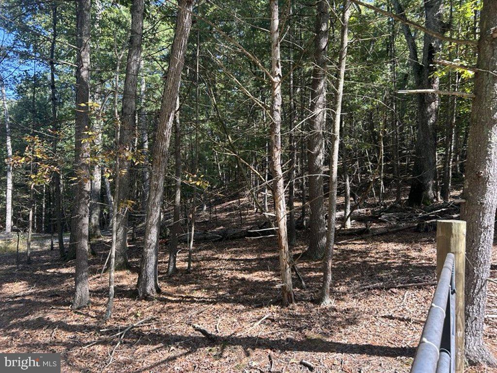 553 Lookout Ridge Dr Property Photo 4