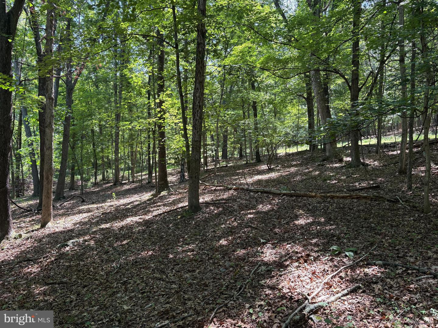 16 Rolling Acres Dr Property Photo 2