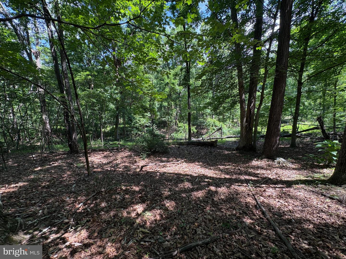 16 Rolling Acres Dr Property Photo 3
