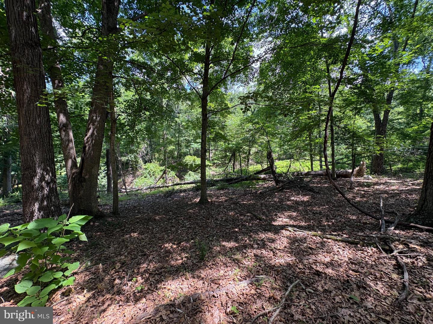 16 Rolling Acres Dr Property Photo 4