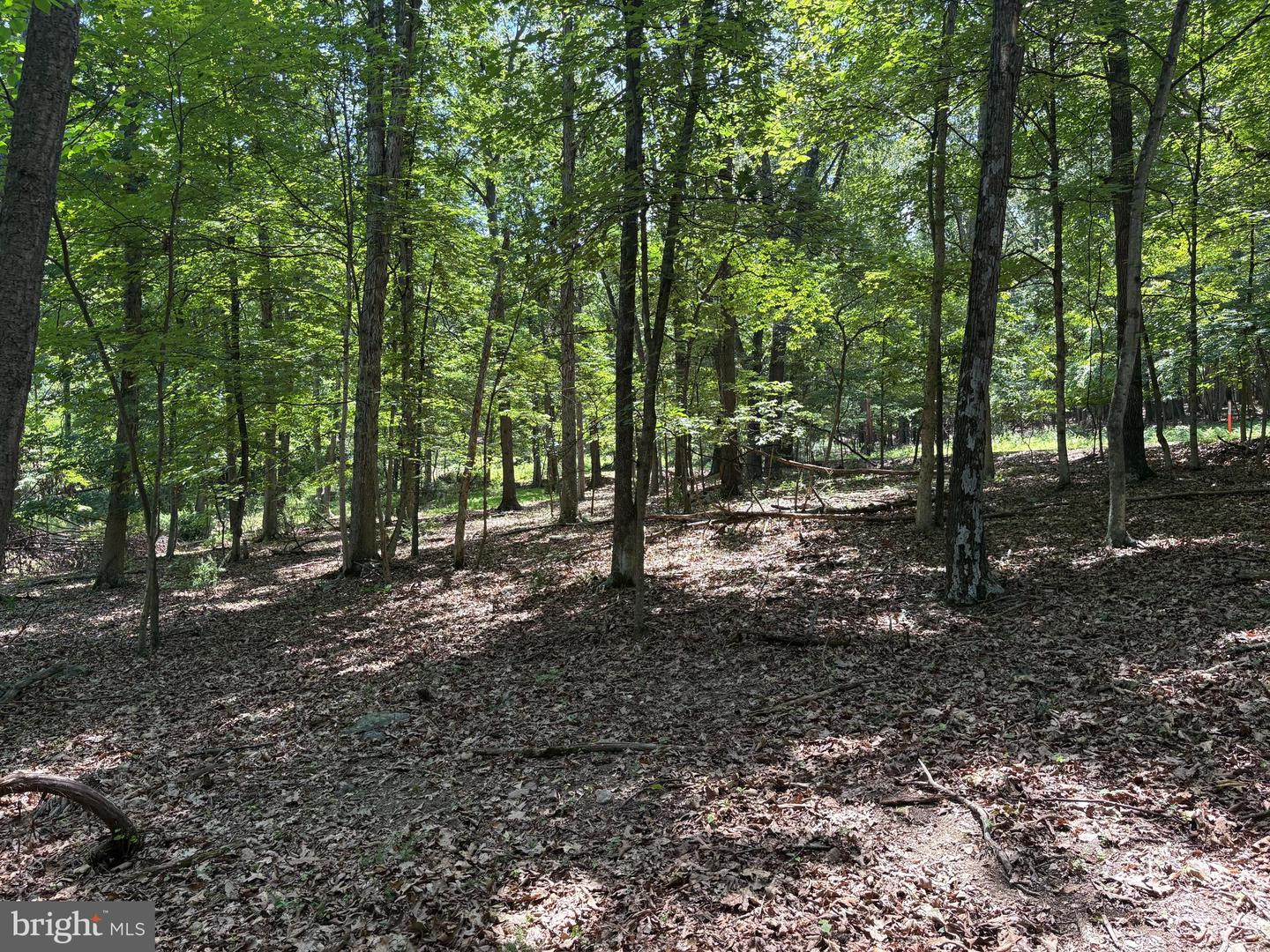16 Rolling Acres Dr Property Photo 5
