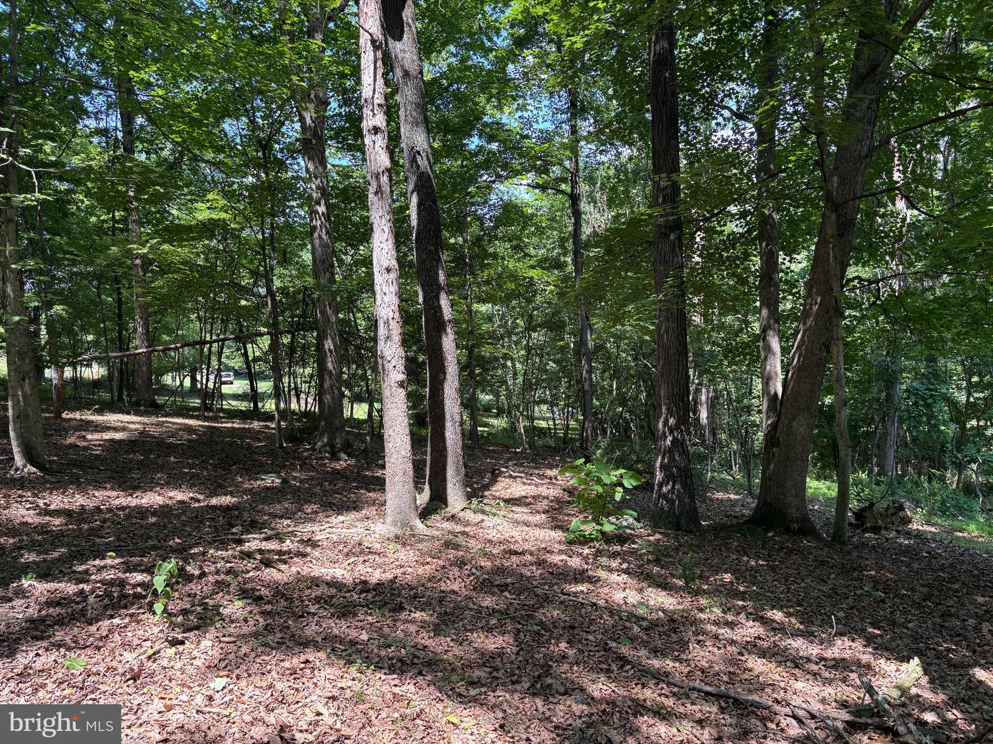 16 Rolling Acres Dr Property Photo 6