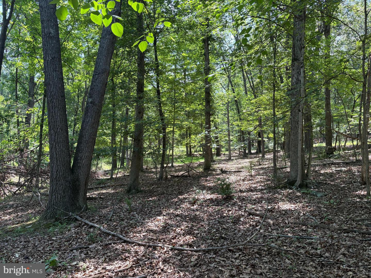 16 Rolling Acres Dr Property Photo 8