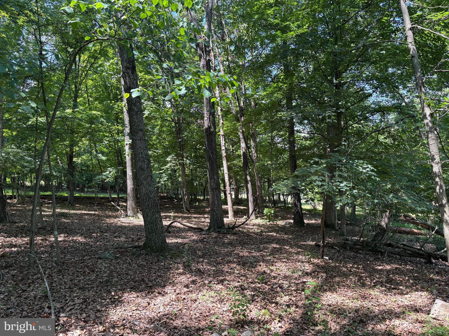 16 Rolling Acres Dr Property Photo 9