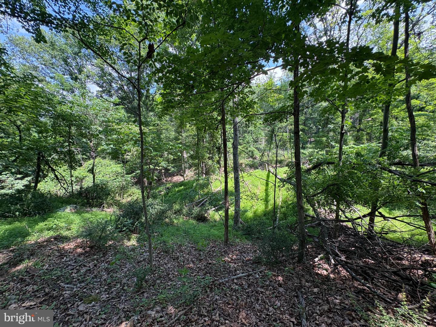 16 Rolling Acres Dr Property Photo 10
