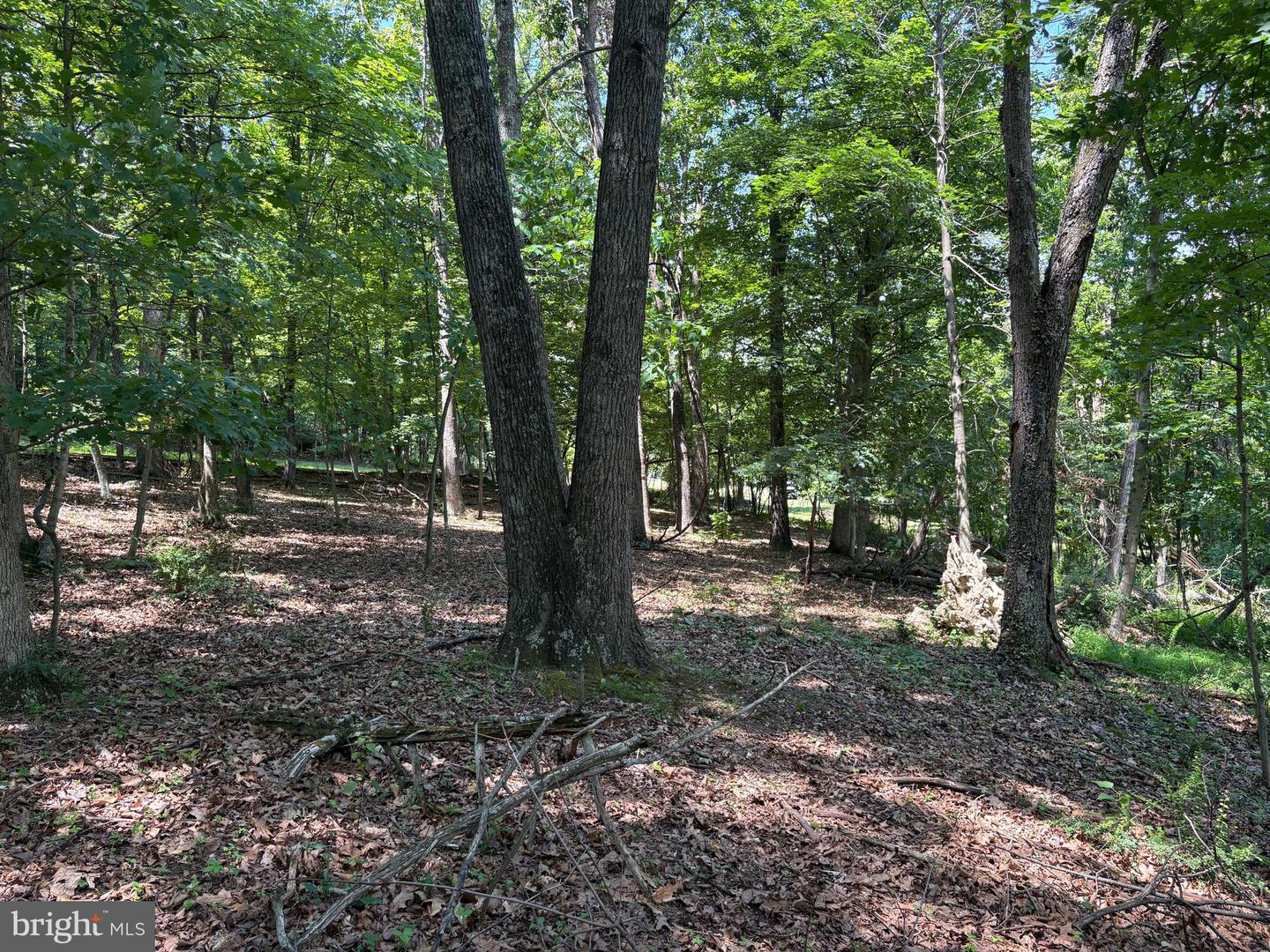 16 Rolling Acres Dr Property Photo 11