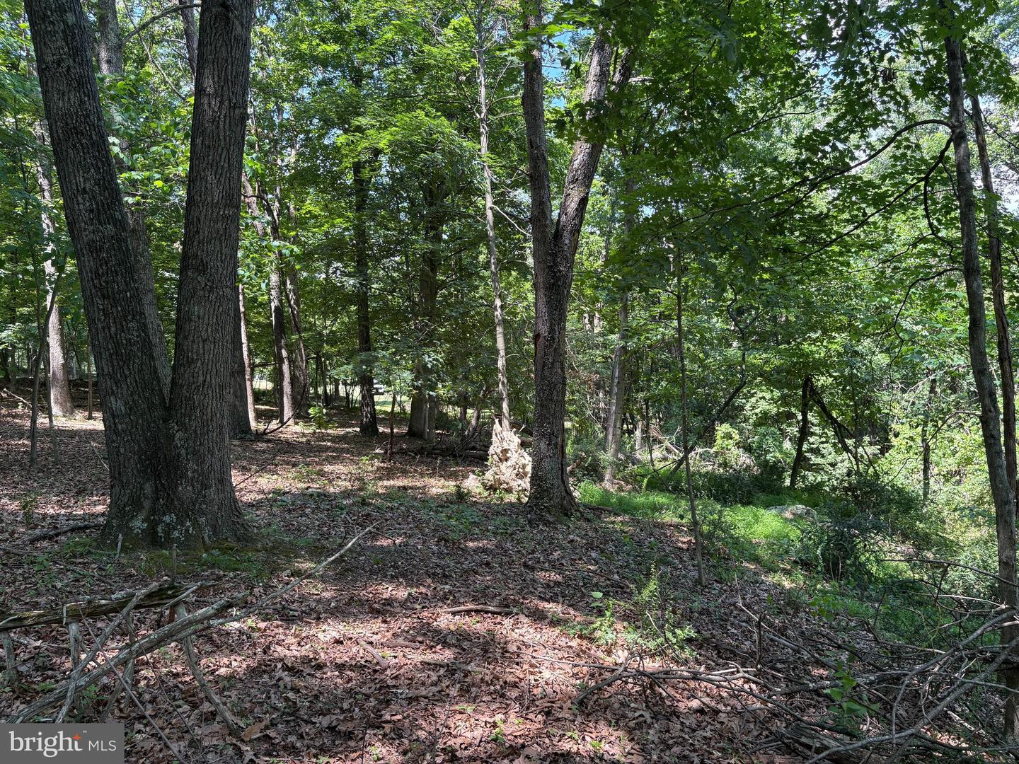 16 Rolling Acres Dr Property Photo 12