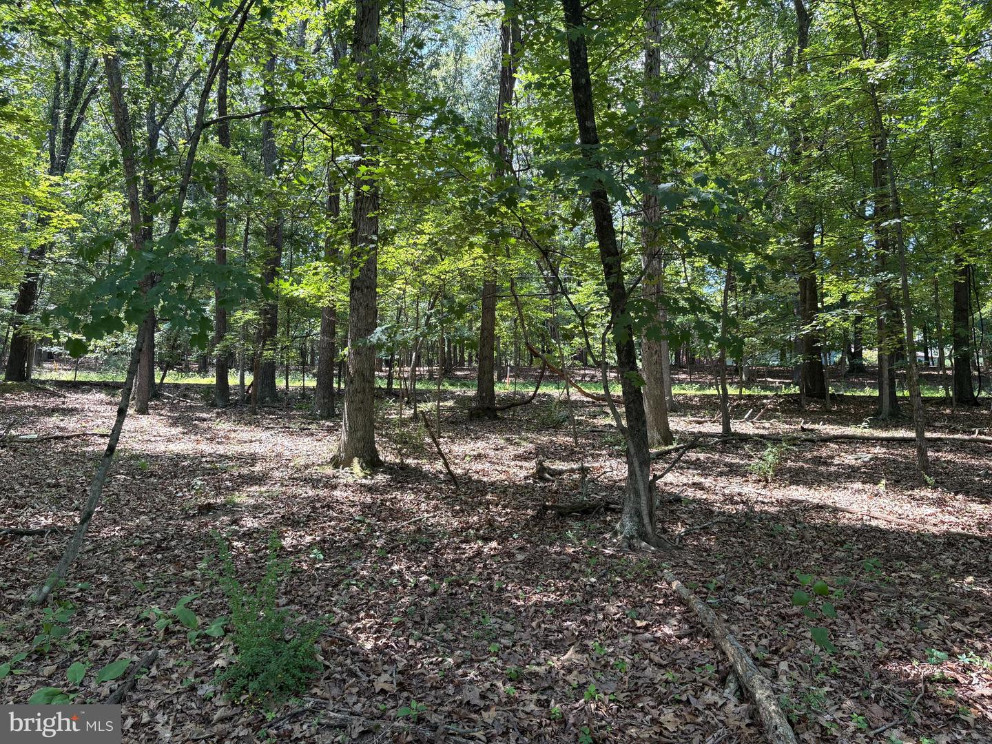 16 Rolling Acres Dr Property Photo 13