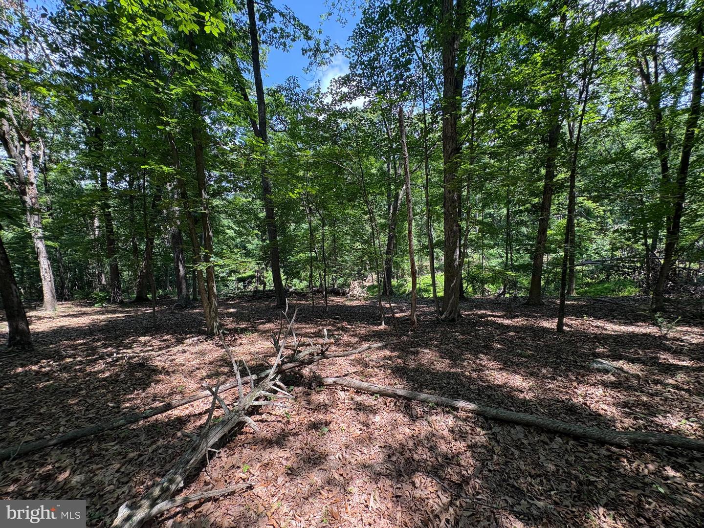 16 Rolling Acres Dr Property Photo 14