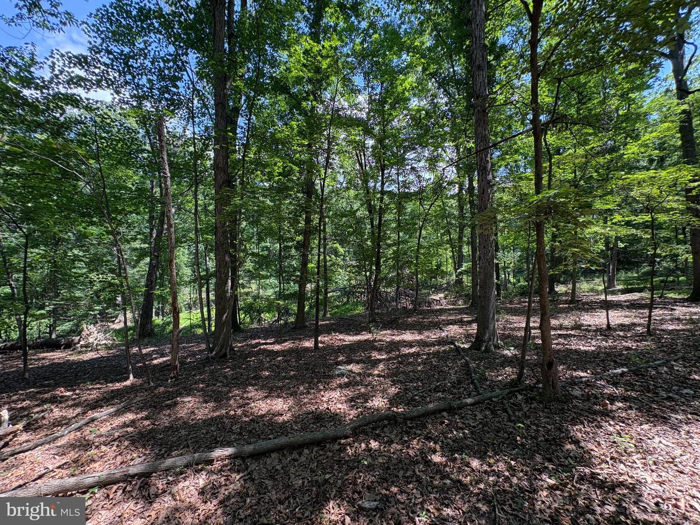 16 Rolling Acres Dr Property Photo 15