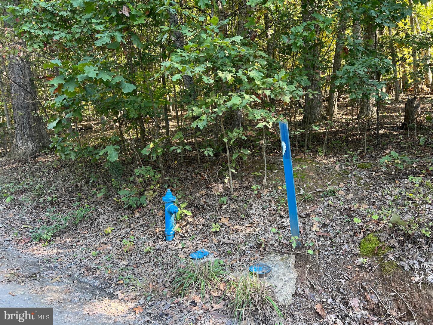 1604 High Knob Rd Property Photo 77