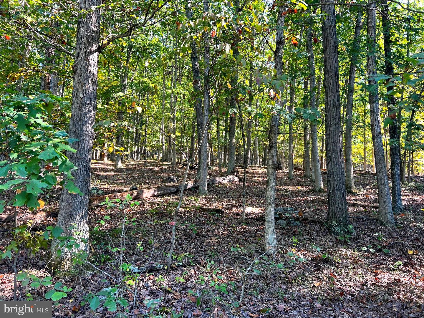 1604 High Knob Rd Property Photo 78