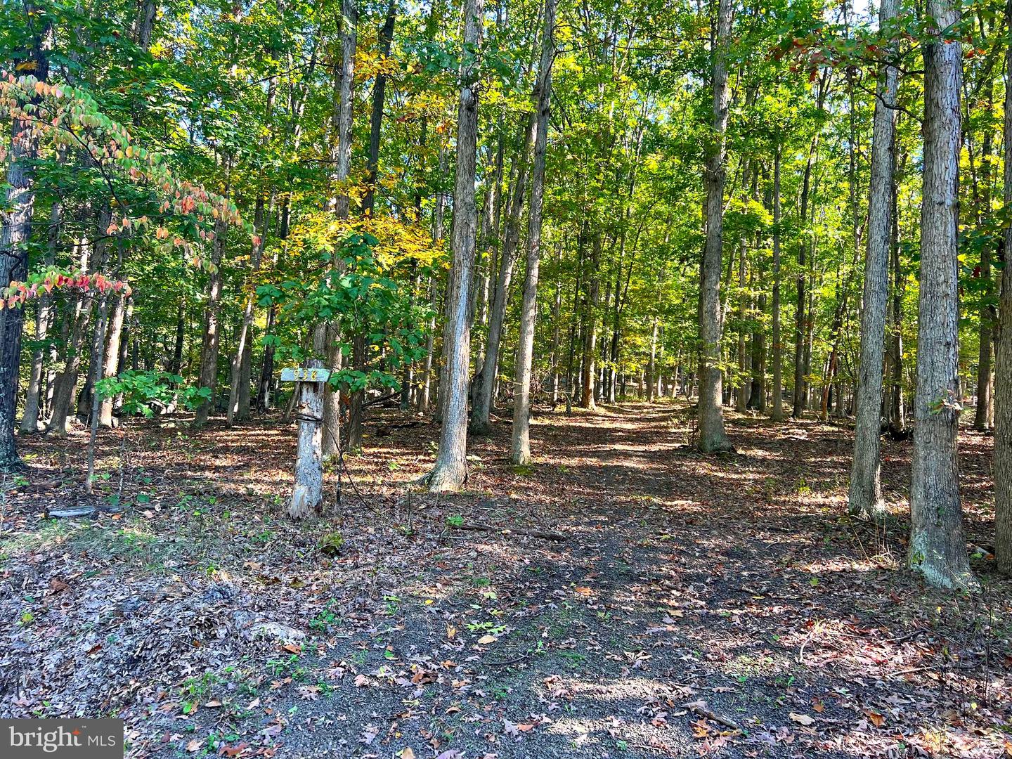 1604 High Knob Rd Property Photo 79
