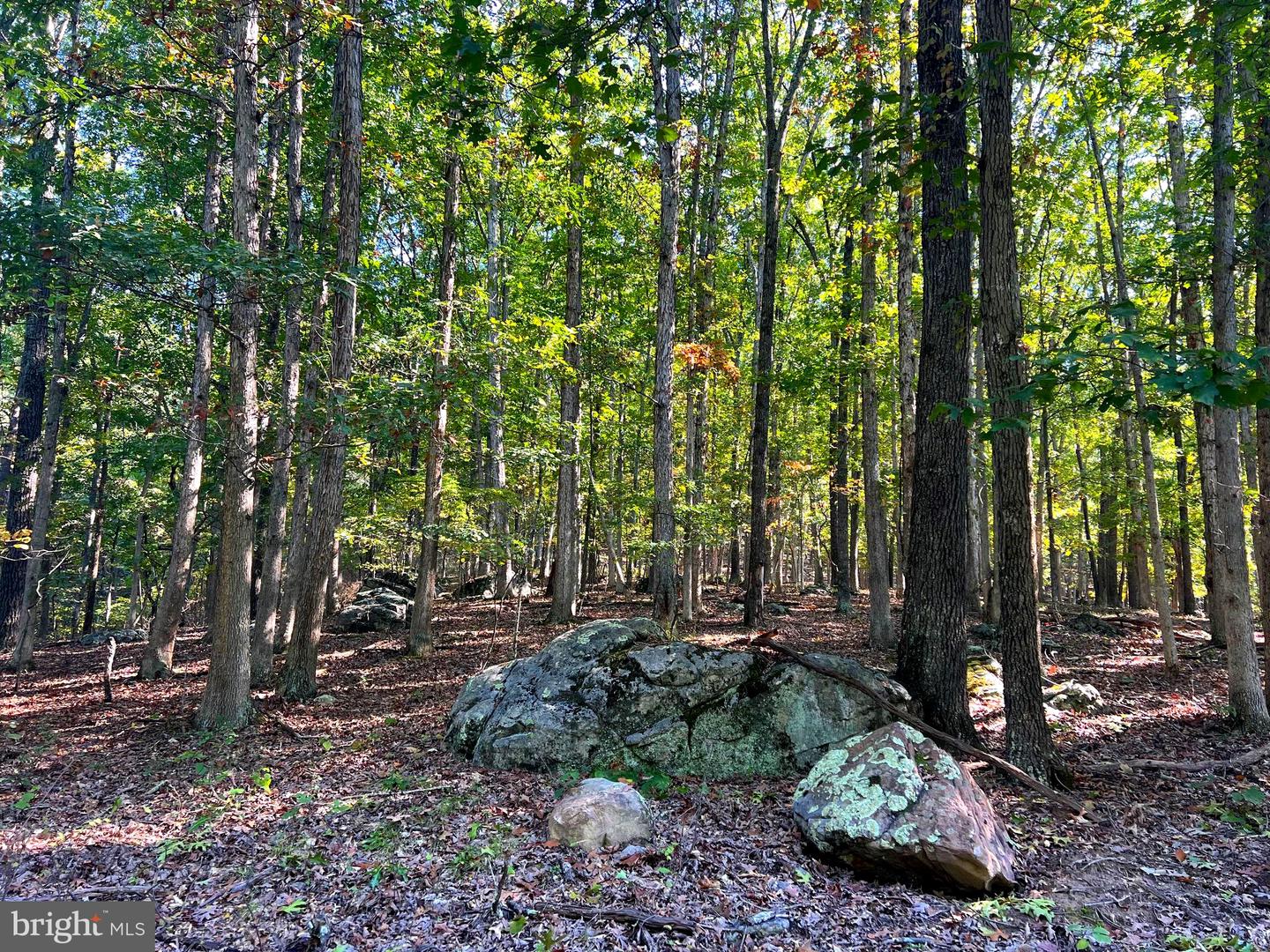 1604 High Knob Rd Property Photo 80