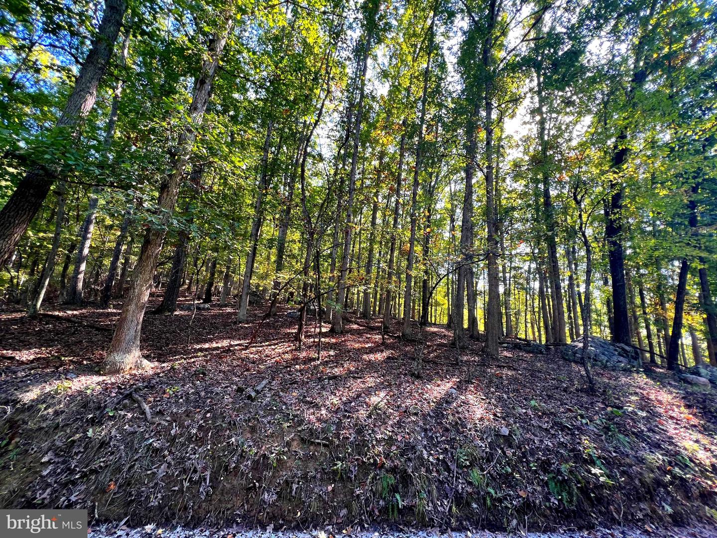 1604 High Knob Rd Property Photo 81