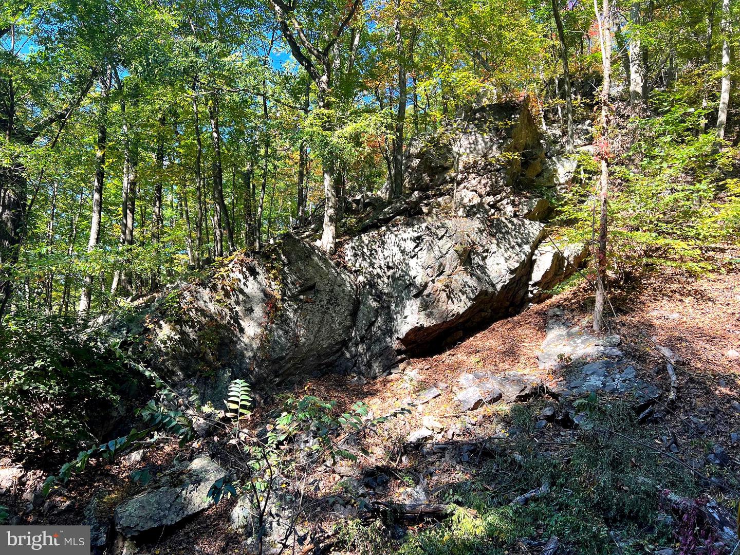 1604 High Knob Rd Property Photo 85