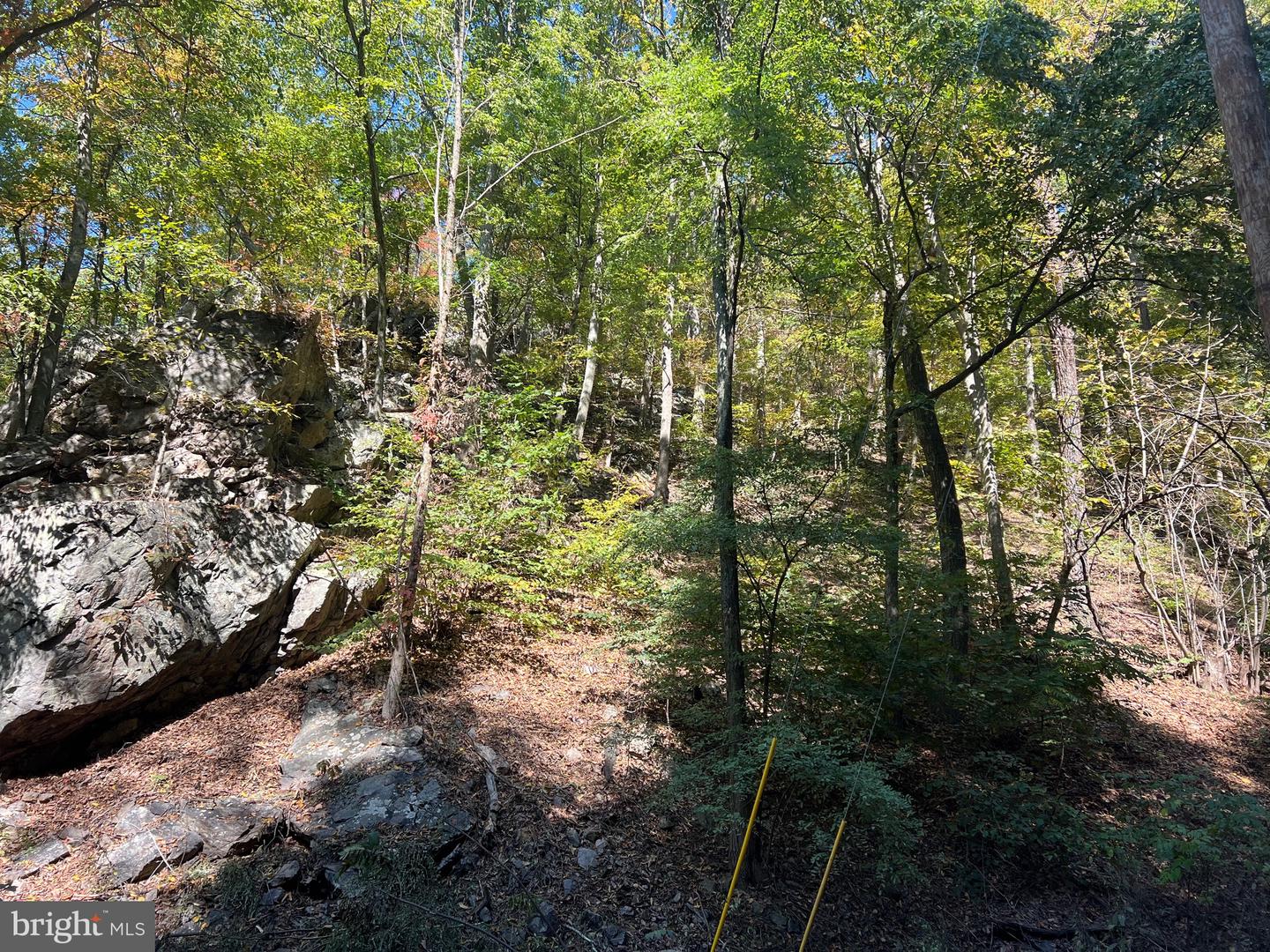 1604 High Knob Rd Property Photo 86