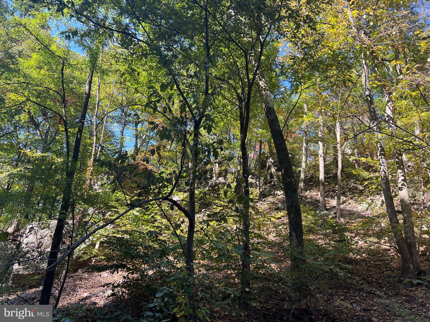 1604 High Knob Rd Property Photo 87