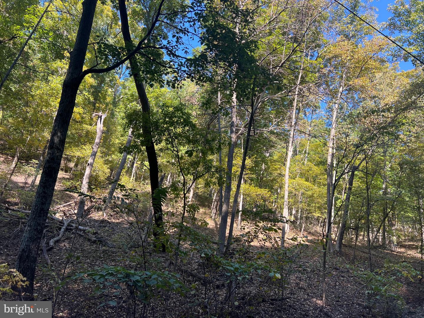 1604 High Knob Rd Property Photo 88