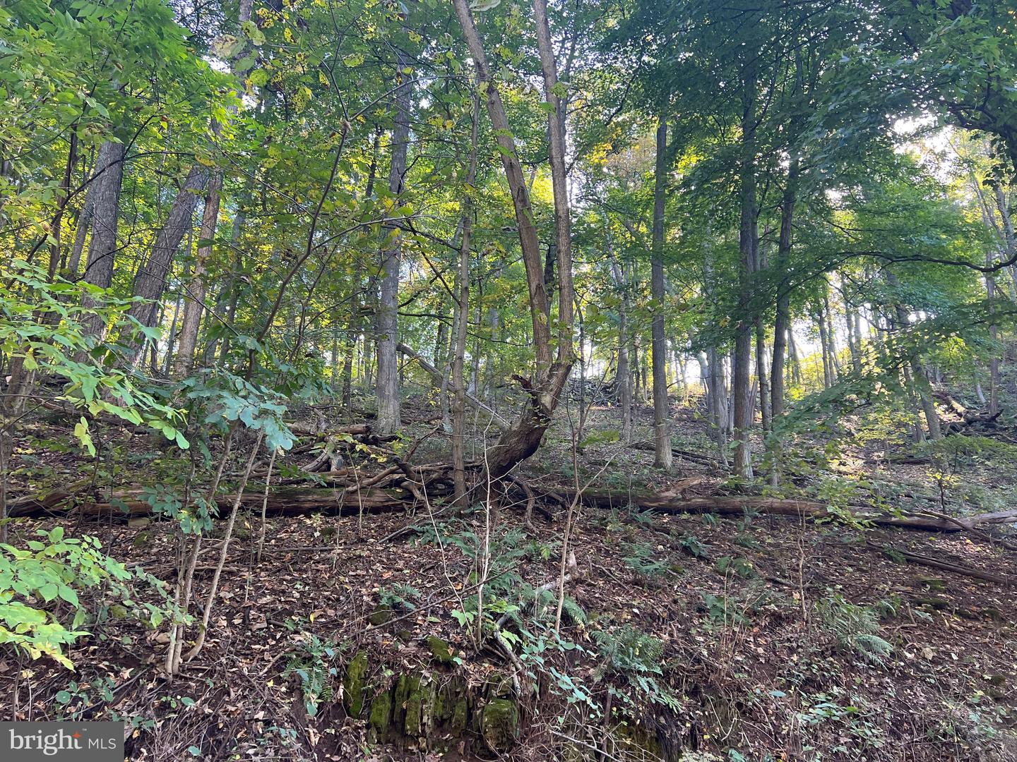 1604 High Knob Rd Property Photo 89