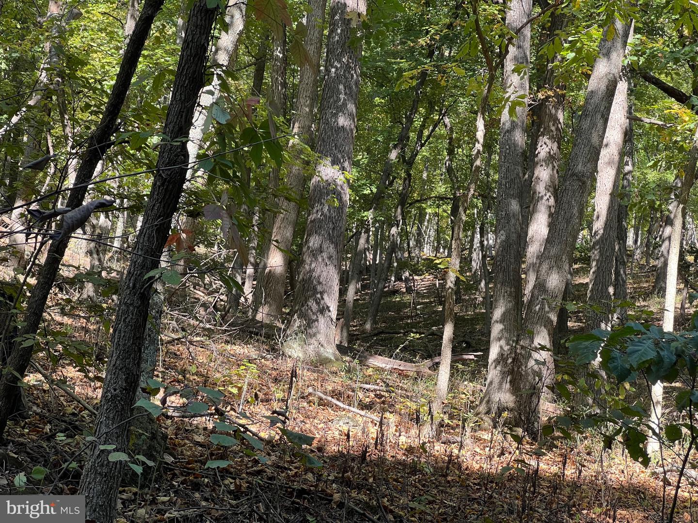 1604 High Knob Rd Property Photo 91