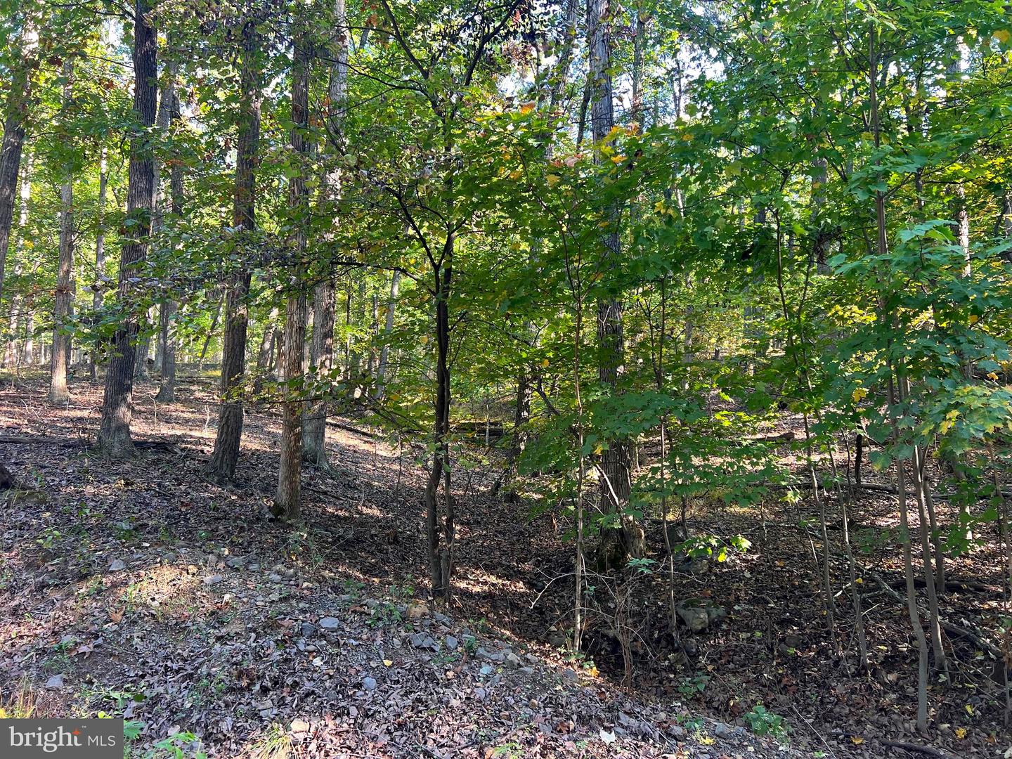 1604 High Knob Rd Property Photo 105