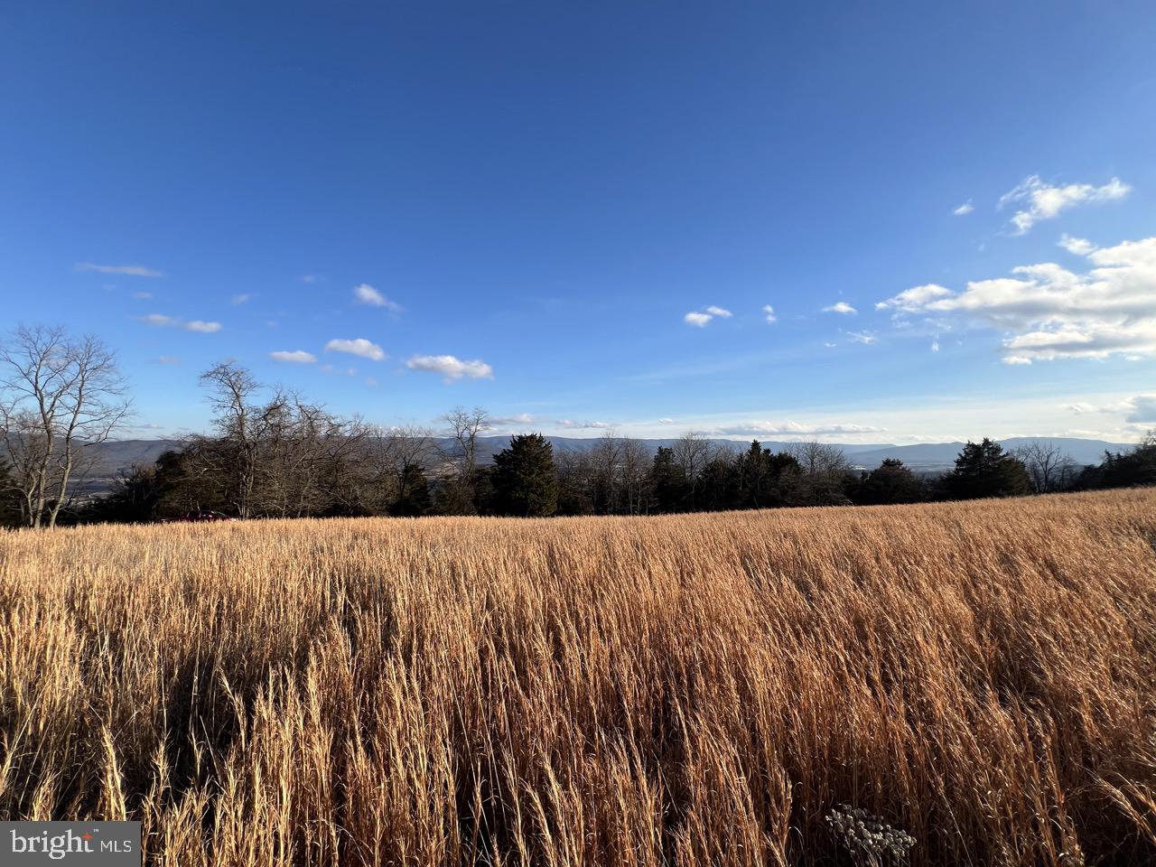 38.43 Acres Howard Sions Rd Property Photo 1