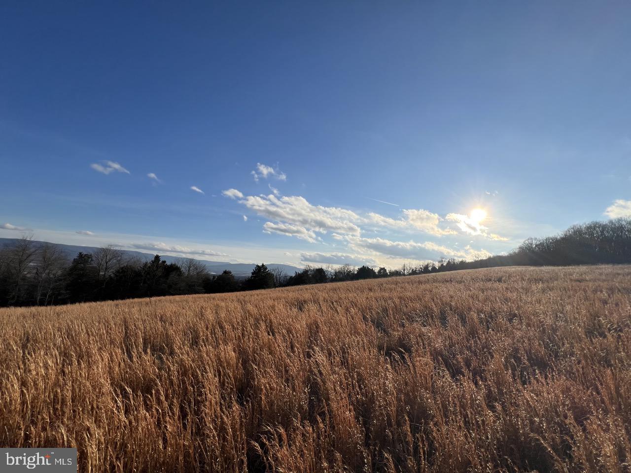 38.43 Acres Howard Sions Rd Property Photo 2